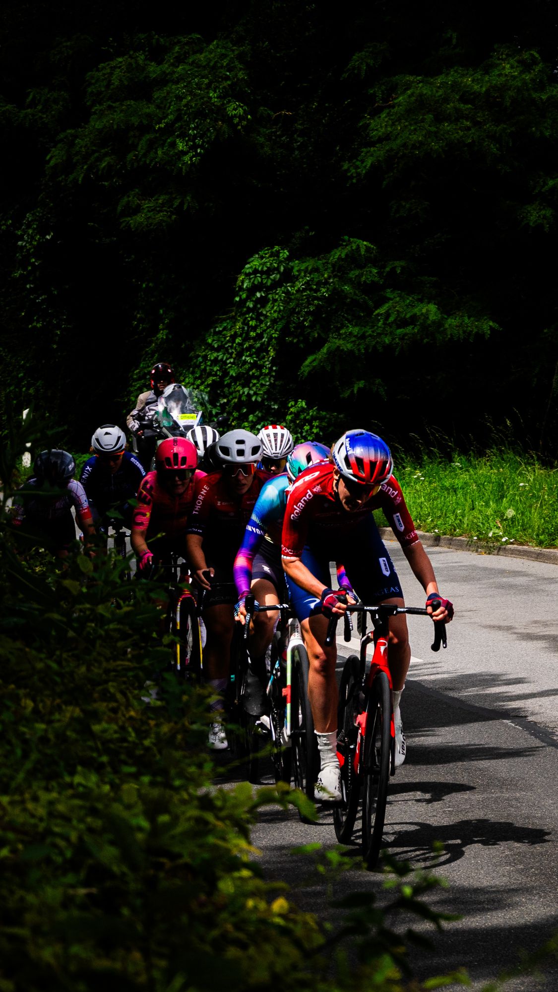 A professional peloton climbing a road lined with dark trees
